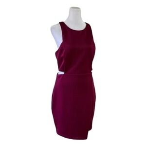 Sugar Lips Cut Out Raspberry Mini Dress Size Medium NWT